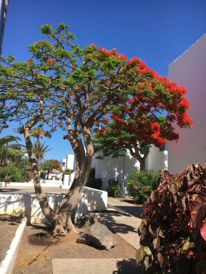 Los Barqueros Corralejo "Beach Front - Town Centre" Apartment Екстериор снимка